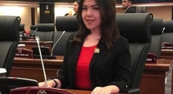 Tina Toon Terjun ke Dunia Politik, Langkah yang Mengejutkan