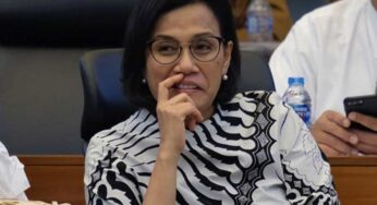 Sri Mulyani, Penjelasaan Barang-Barang Bebas PPN 12%